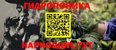 гидра Туймазы