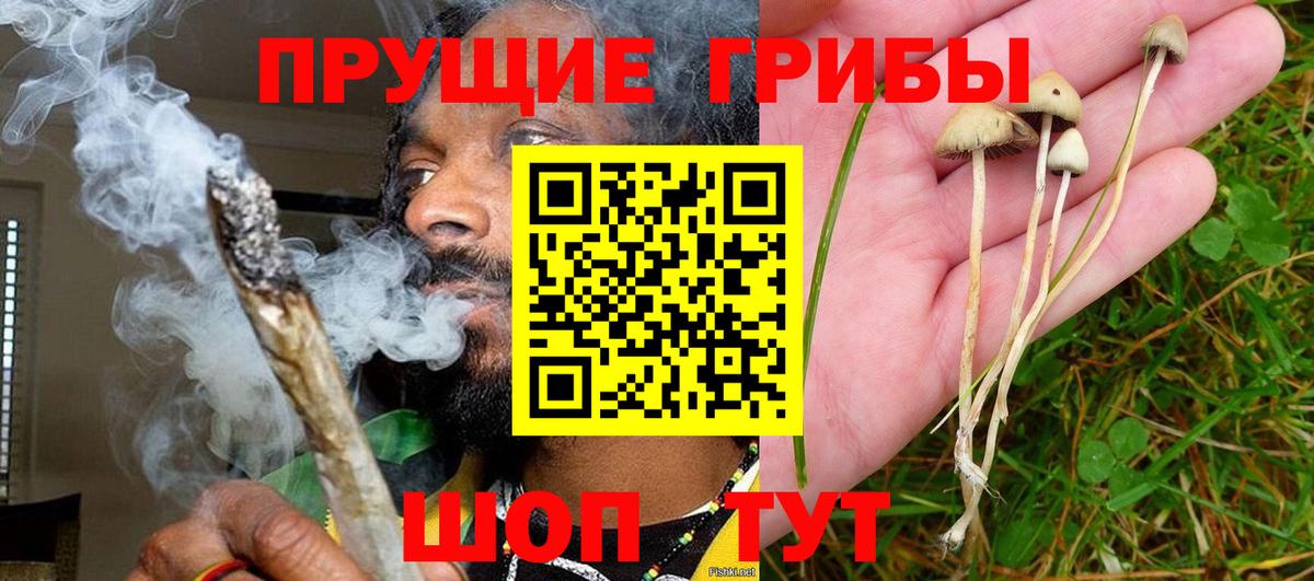 Псилоцибиновые грибы Cubensis  Галлюциногенные грибы мухоморы  Вход с VPN  Отрадный 